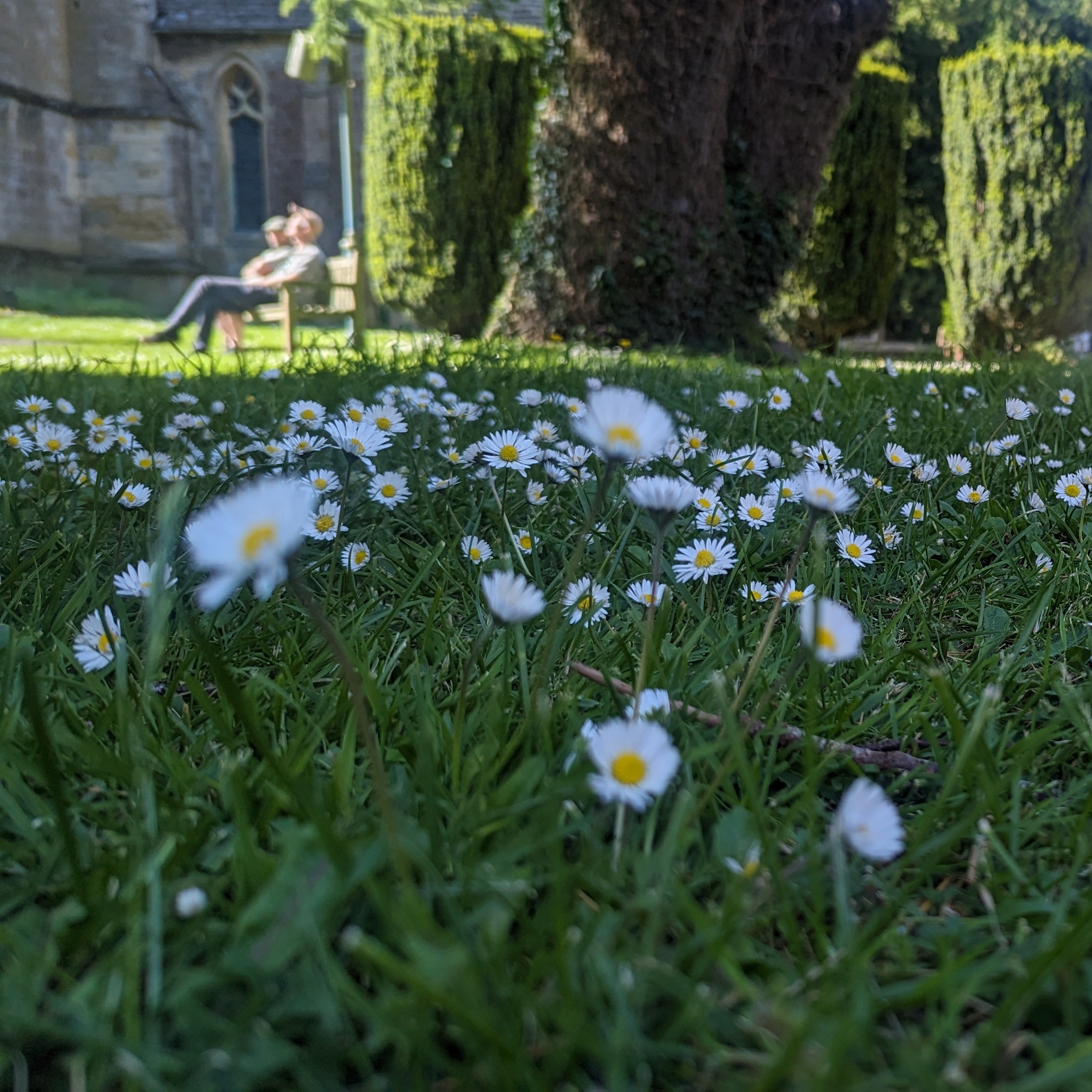 Therapeutic conversation