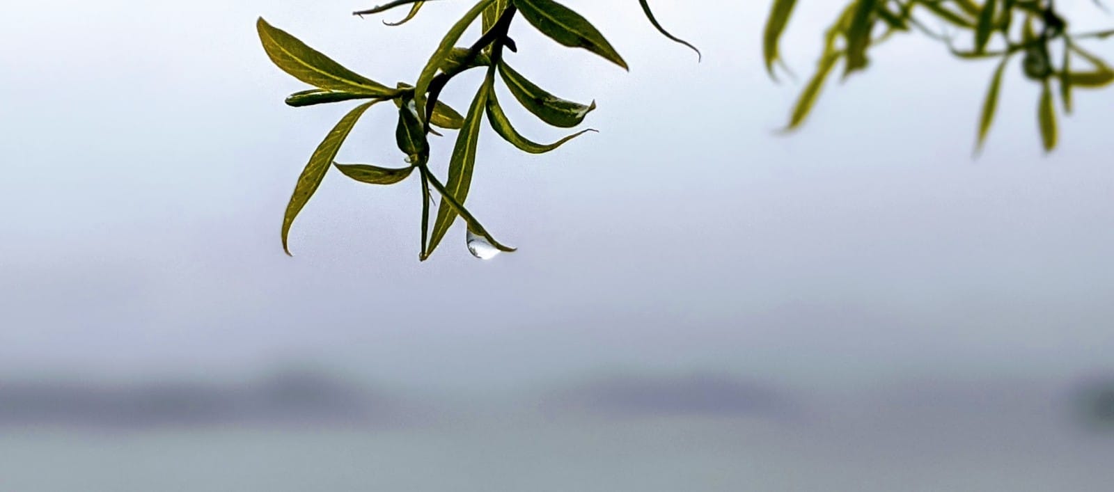 Existential reflection